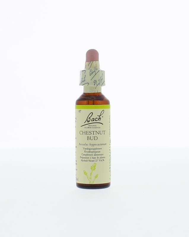 Bach Chestnut bud/kastanjeknop 20ml