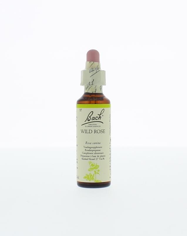 Bach Wild rose/hondsroos 20ml