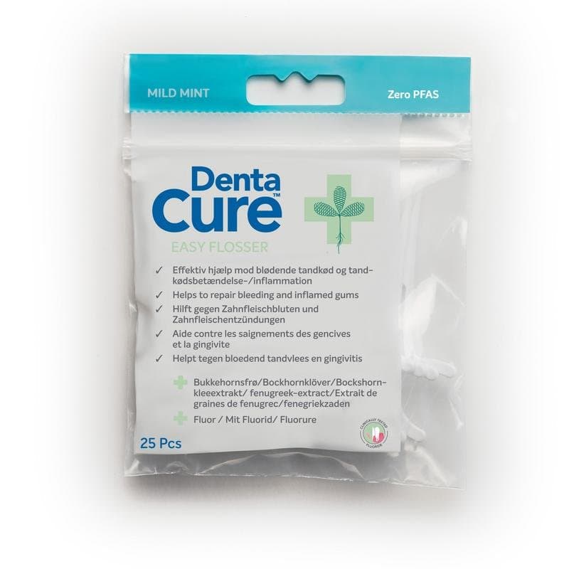 Dentacure Easyflosser 1st