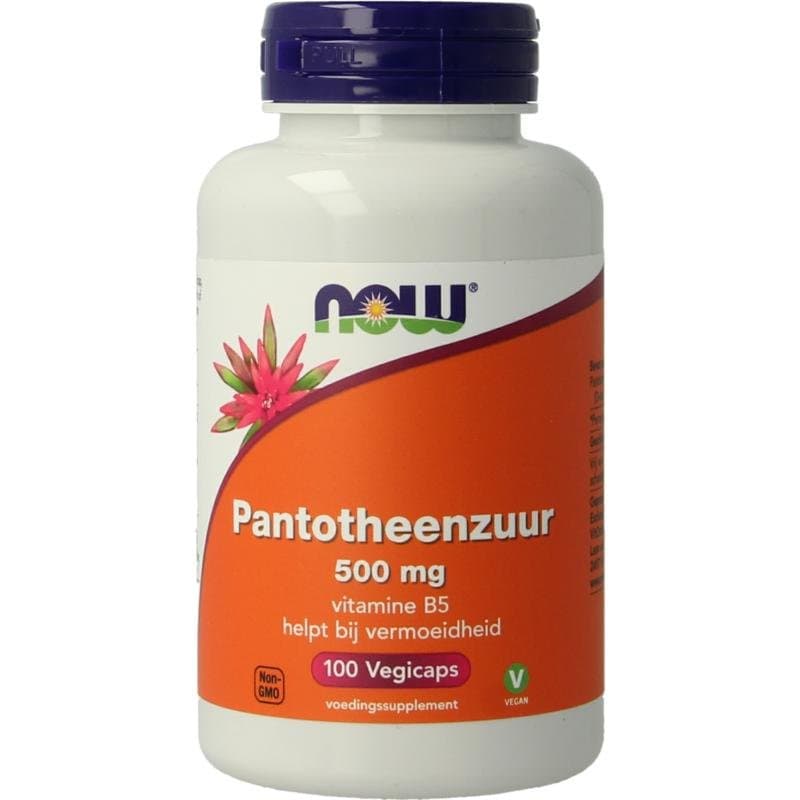 NOW Pantotheenzuur 500mg (B5) 100vc