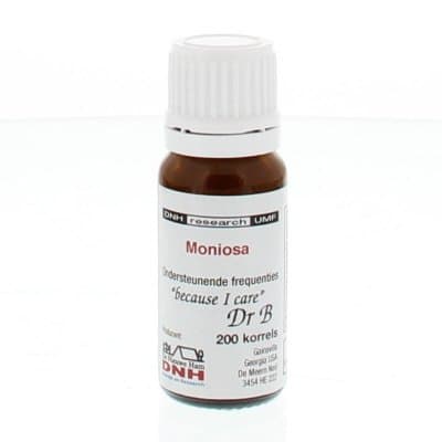 DNH Moniosa 200st