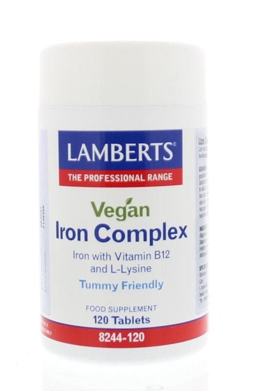 Lamberts IJzer complex vegan 120tb